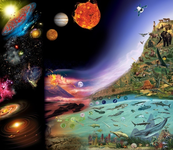 A cartoon showing space, galaxies, ocean animals, and land animals.